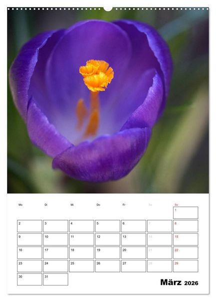 Produktbild: Zauberhafte Bl&uuml;tenwelt / Planer (Wandkalender 2026 DIN A2 hoch), CALVENDO Monatskalender