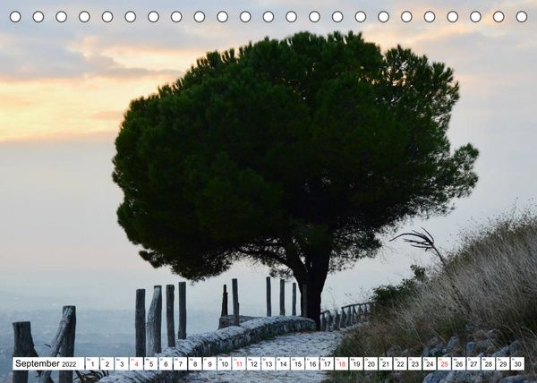 Produktbild: B&auml;ume in Italien (Tischkalender 2022 DIN A5 quer)