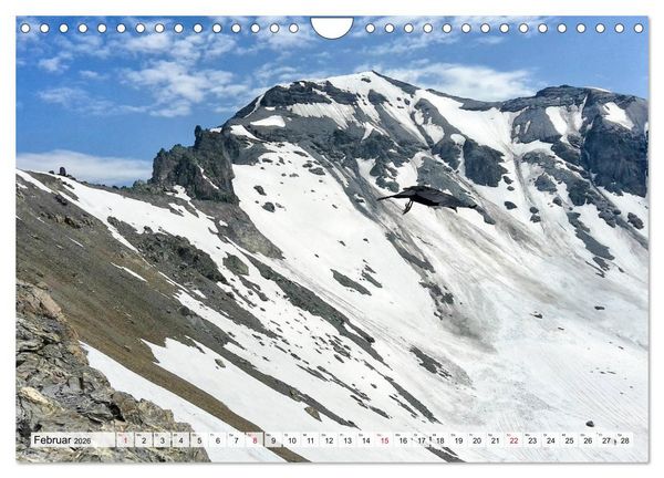 Produktbild: ALPEN BLICK (Wandkalender 2026 DIN A4 quer), CALVENDO Monatskalender
