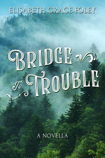 Produktbild: Bridge to Trouble: A Novella