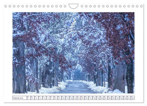 Produktbild: Radolfzell am sch&ouml;nen Bodensee (Wandkalender 2026 DIN A4 quer), CALVENDO Monatskalender