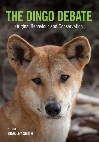 Produktbild: The Dingo Debate