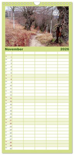 Produktbild: Familienplaner 2026 - Jena - Faszination in Bildern mit 5 Spalten (Wandkalender, 21 x 45 cm) CALVENDO