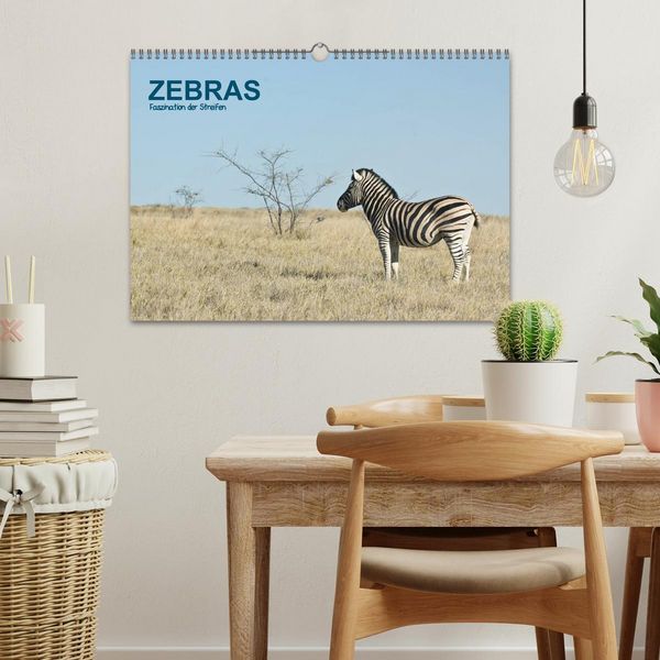 Produktbild: Zebras - Faszination der Streifen (Wandkalender 2026 DIN A3 quer), CALVENDO Monatskalender
