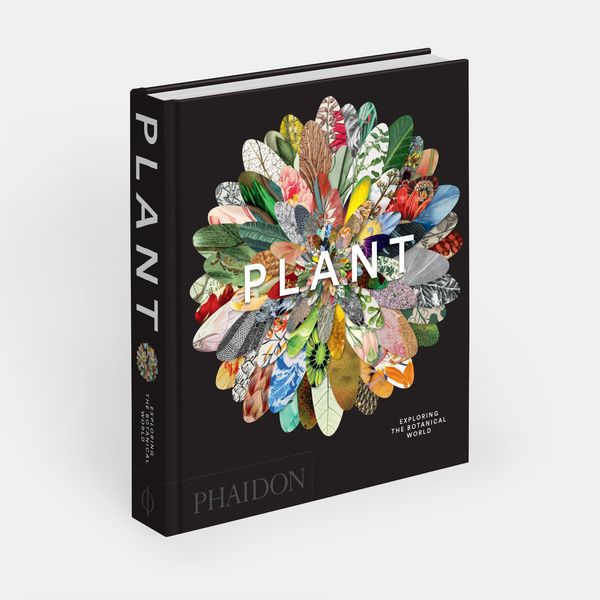 Produktbild: Plant