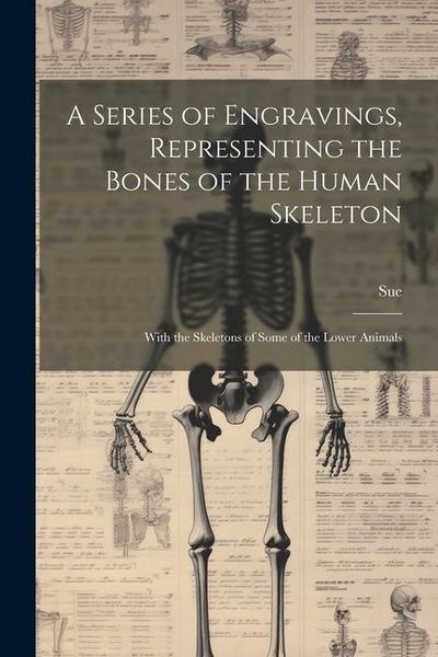 Produktbild: A Series of Engravings, Representing the Bones of the Human Skeleton