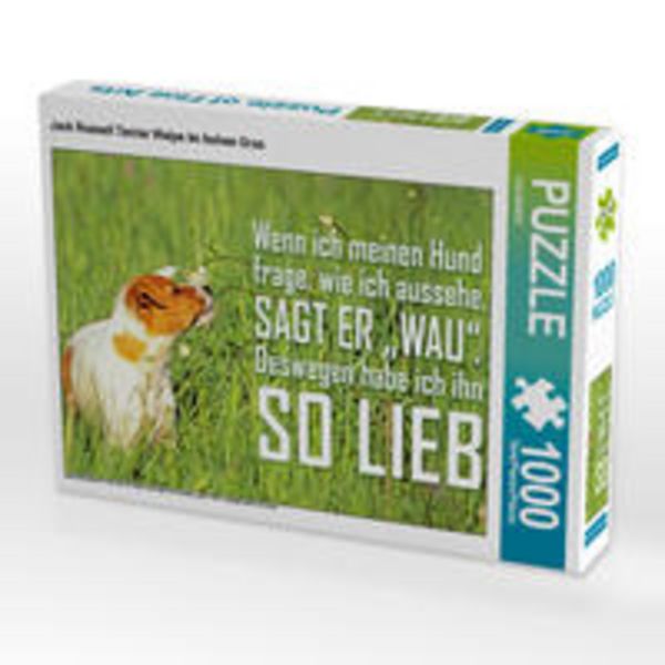 CALVENDO Puzzle Jack Russell Terrier Welpe im hohen Gras | 1000 Teile Lege-Größe 64x48cm Foto-Puzzle für glückliche Stunden