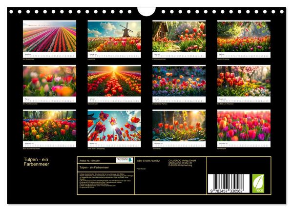Produktbild: Tulpen - ein Farbenmeer (Wandkalender 2026 DIN A4 quer), CALVENDO Monatskalender