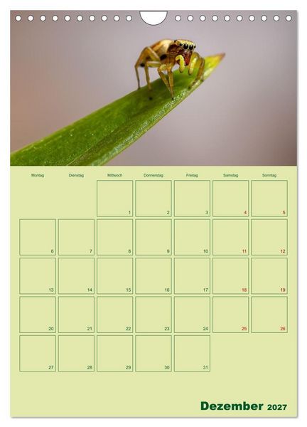 Produktbild: Die Welt der Insekten (Wandkalender 2027 DIN A4 hoch), CALVENDO Monatskalender