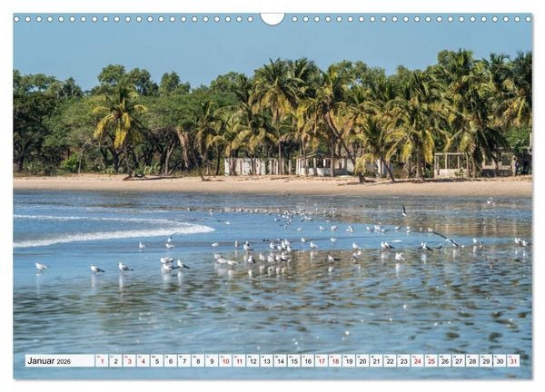 Produktbild: Traumstr&auml;nde in Gambia (Wandkalender 2026 DIN A3 quer), CALVENDO Monatskalender