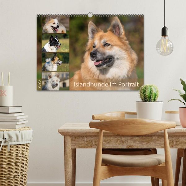 Produktbild: Islandhunde im Portrait (Wandkalender 2026 DIN A3 quer), CALVENDO Monatskalender