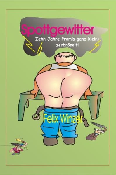 Spottgewitter. Zehn Jahre Promis ganz klein: zerbröselt, Taschenbuch von Felix Winzer, Books on Demand, 9783899066739