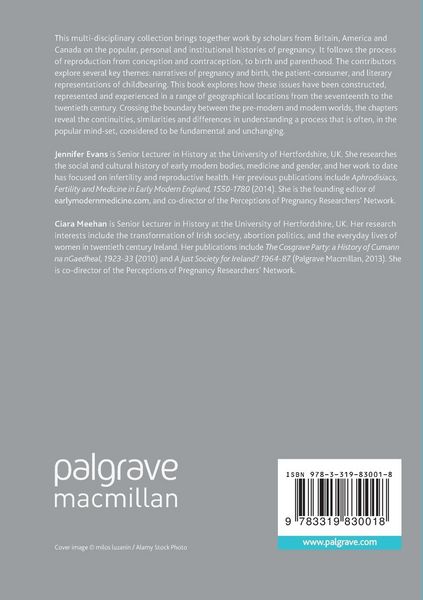 Produktbild: Perceptions of Pregnancy from the Seventeenth to the Twentieth Century