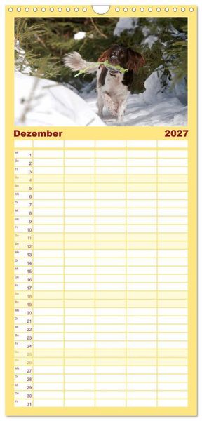 Produktbild: Familienplaner 2027 - Passion Jagdhund - Kleiner M&uuml;nsterl&auml;nder mit 5 Spalten (Wandkalender, 21 x 45 cm) CALVENDO