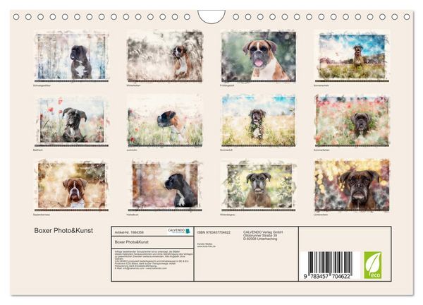 Produktbild: Boxer Photo&Kunst (Wandkalender 2026 DIN A4 quer), CALVENDO Monatskalender