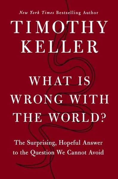 Produktbild: What is Wrong with the World?