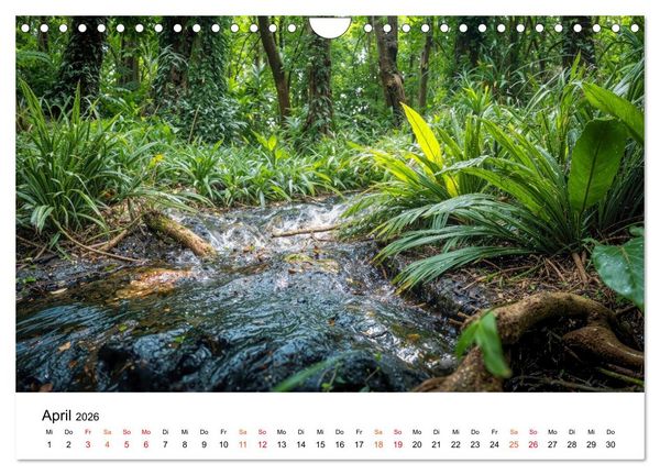 Produktbild: Naturzeit - Ein Jahr im Wandel (Wandkalender 2026 DIN A4 quer), CALVENDO Monatskalender
