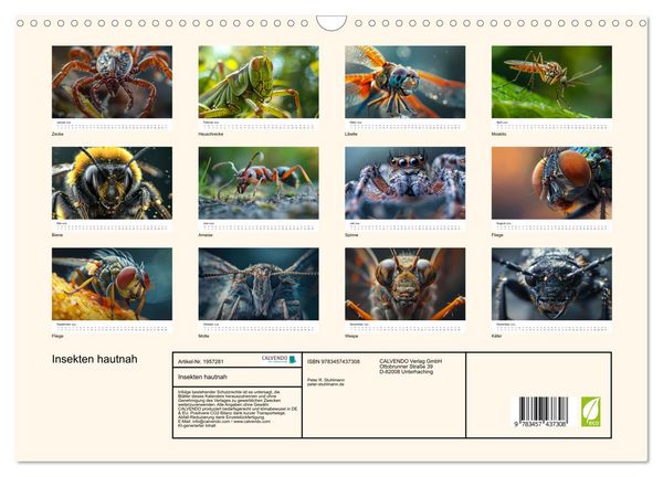 Produktbild: Insekten hautnah (Wandkalender 2026 DIN A3 quer), CALVENDO Monatskalender