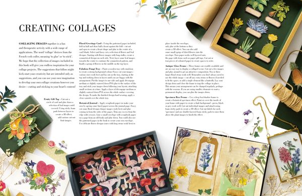 Produktbild: Botanical Art to Cut out and Collage