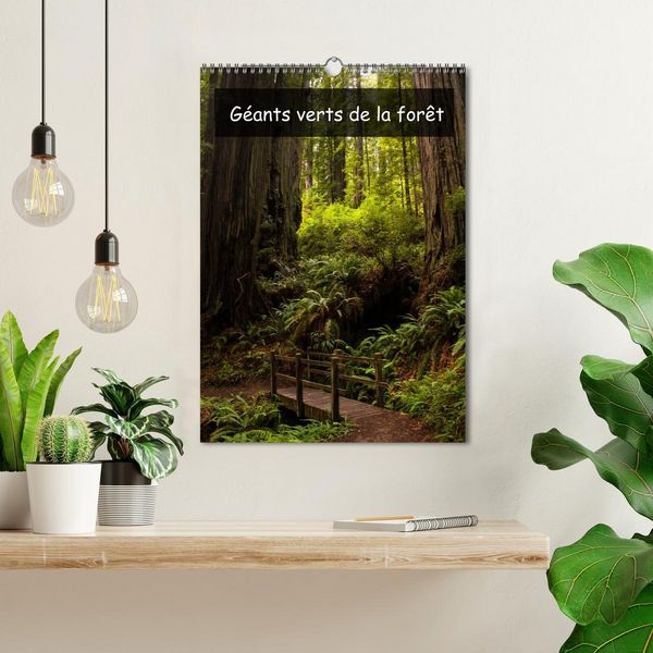 Produktbild: G&eacute;ants verts de la for&ecirc;t (Calendrier mural 2026 DIN A3 horizontal), CALVENDO calendrier mensuel