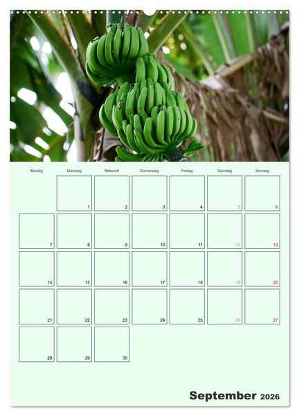 Produktbild: Obst Kalender - GESUND DURCH DAS JAHR (hochwertiger Premium Wandkalender 2026 DIN A2 hoch), Kunstdruck in Hochglanz