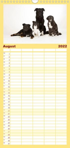 Produktbild: Familienplaner Bunte Pfoten (Wandkalender 2022 , 21 cm x 45 cm, hoch)