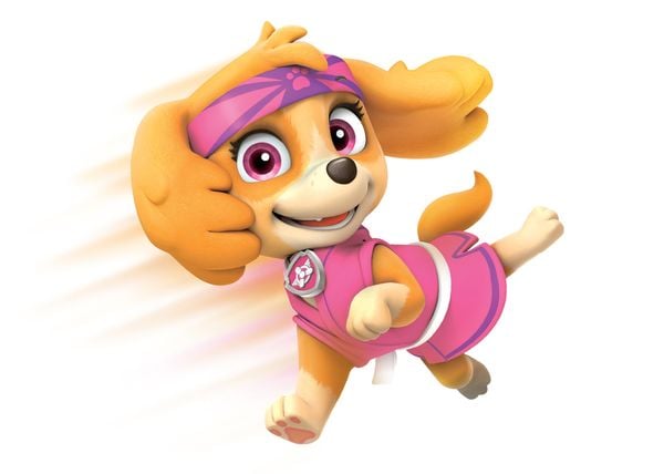 Produktbild: Paw Patrol - Das Spiel kann losgehen