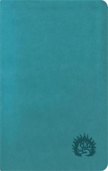 Produktbild: ESV Reformation Study Bible, Condensed Edition - Turquoise, Leather-Like