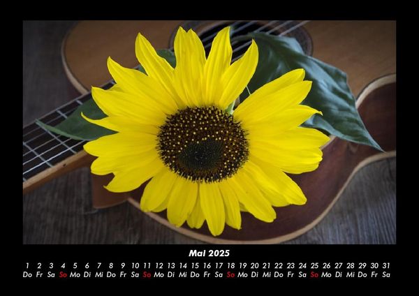 Produktbild: Blumenzauber 2025 Fotokalender DIN A3