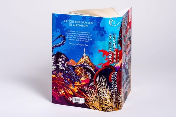 Produktbild: Das Kloster des geheimen Baumes - Die Drachenreiterin