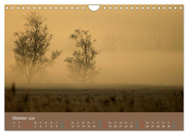 Produktbild: Fasziantion Natur (Wandkalender 2026 DIN A4 quer), CALVENDO Monatskalender