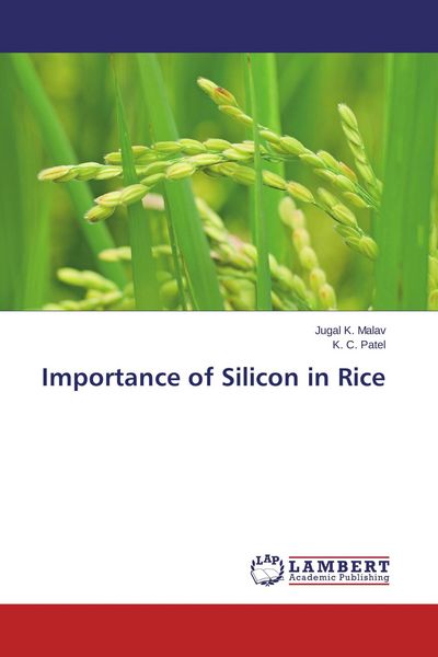 Produktbild: Importance of Silicon in Rice