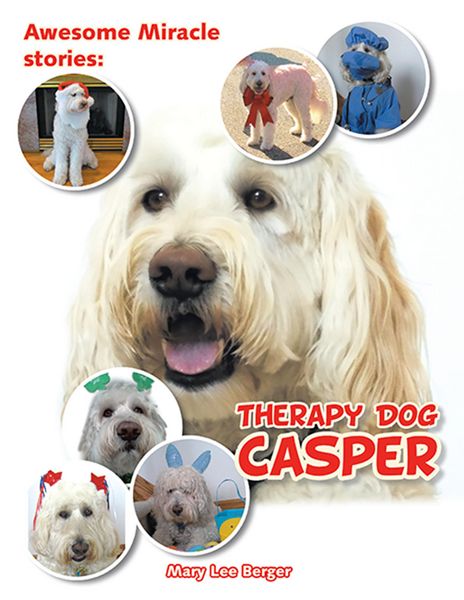 Produktbild: Awesome Miracle Stories: Therapy Dog Casper