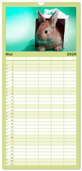 Produktbild: Familienplaner 2026 - Lustige Kaninchen mit 5 Spalten (Wandkalender, 21 x 45 cm) CALVENDO