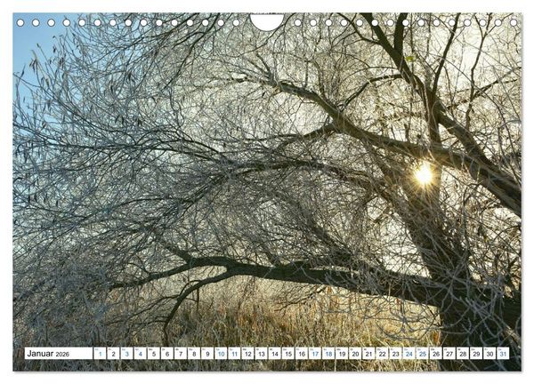 Produktbild: Land Brandenburg - Natur und Erholung im m&auml;rkischen Land (Wandkalender 2026 DIN A4 quer), CALVENDO Monatskalender