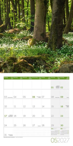Produktbild: Zauber des Waldes Kalender 2027 - 30x30 - Art12