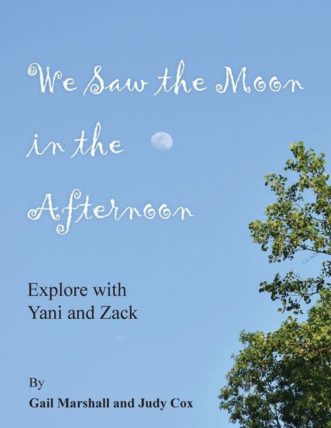 Produktbild: We Saw the Moon in the Afternoon
