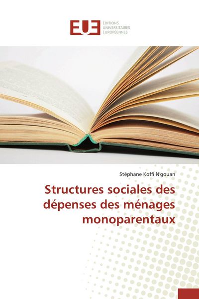 Produktbild: Structures sociales des d&eacute;penses des m&eacute;nages monoparentaux