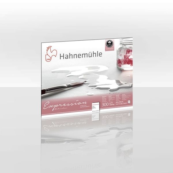 Produktbild: Hahnem&uuml;hle Papier Expression Watercolour, 40 x 50 cm, 300 g/m&sup2;