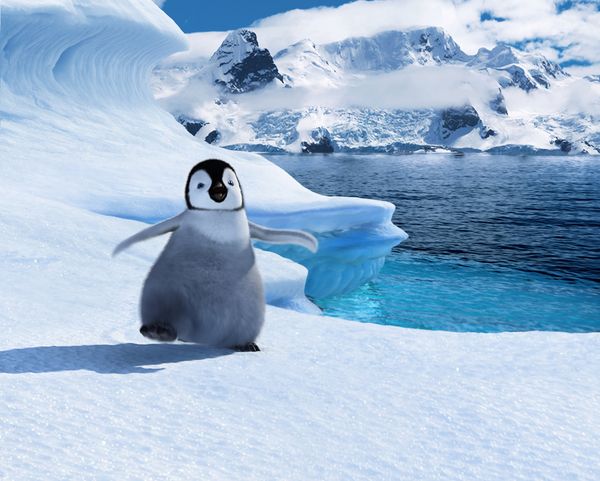 Produktbild: Happy Feet