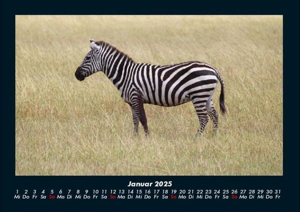 Produktbild: Zebrazauber 2025 Fotokalender DIN A4