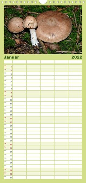 Produktbild: Familienplaner Pilze, Pilze (Wandkalender 2022 , 21 cm x 45 cm, hoch)