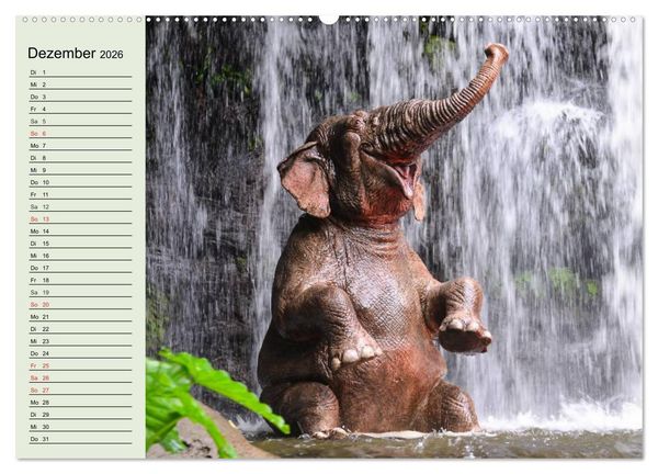 Produktbild: Elefanten. Badespa&szlig; am Strand (hochwertiger Premium Wandkalender 2026 DIN A2 quer), Kunstdruck in Hochglanz