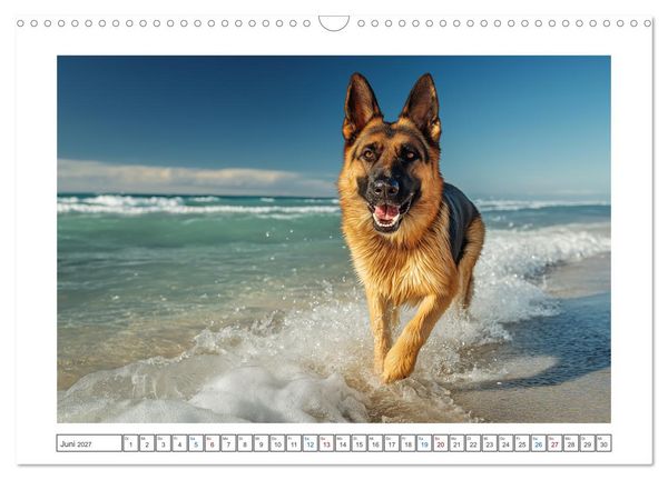Produktbild: Treue, die bleibt. Emotionale Augenblicke mit Sch&auml;ferhunden. (Wandkalender 2027 DIN A3 quer), CALVENDO Monatskalender