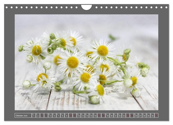 Produktbild: Blumen f&uuml;r dich (Wandkalender 2026 DIN A4 quer), CALVENDO Monatskalender