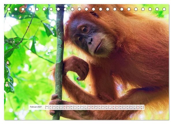 Produktbild: Bekanntes und Unbekanntes Indonesien (Tischkalender 2027 DIN A5 quer), CALVENDO Monatskalender