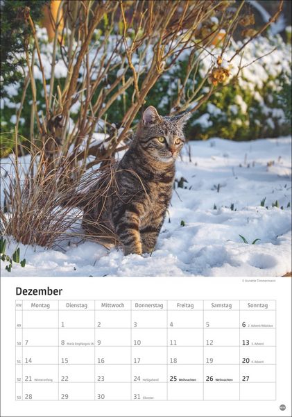 Suchergebnis Auf Für: Taschenkalender Katze 2018