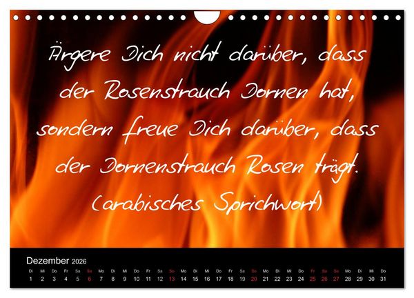 Produktbild: Positiv durch&acute;s Jahr (Wandkalender 2026 DIN A4 quer), CALVENDO Monatskalender