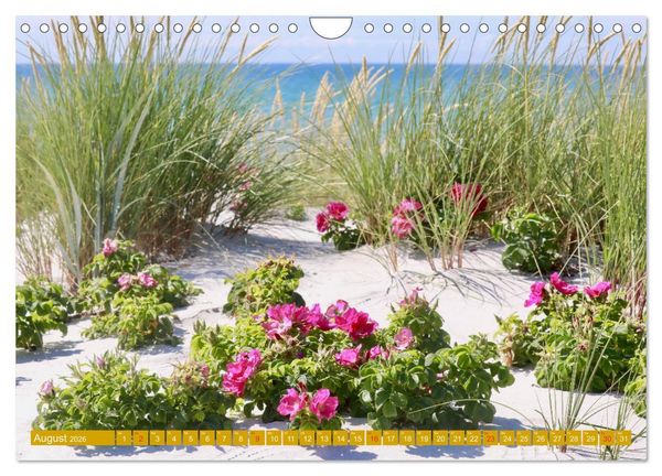 Produktbild: Insel Hiddensee - Stimmungen und Sehns&uuml;chte (Wandkalender 2026 DIN A4 quer), CALVENDO Monatskalender
