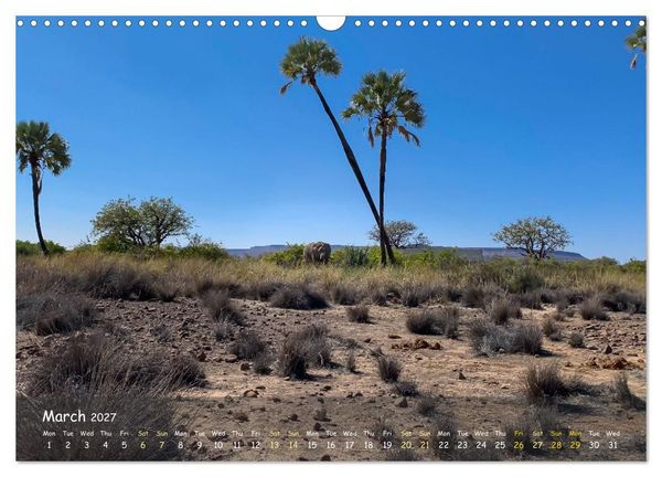 Produktbild: Namibia - African Beauty (Wall Calendar 2027 DIN A3 landscape), CALVENDO 12 Month Wall Calendar